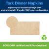 imageTork Natural Dinner Napkin 18 Fold 1ply 17quot x 15quot 12 x 250 napkins N5186Beige