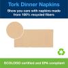 imageTork Natural Dinner Napkin 18 Fold 2ply 15 x 163 24 x 126 napkins 99357052Ply